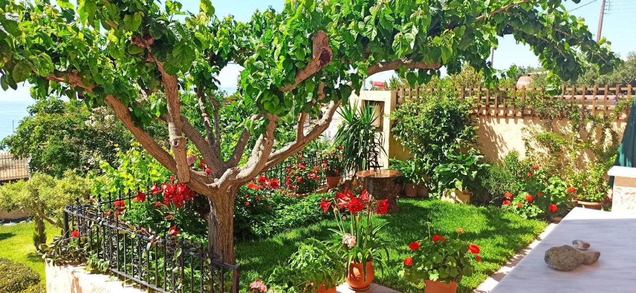 Despoina Apartments Κερατόκαμπος Εξωτερικό φωτογραφία