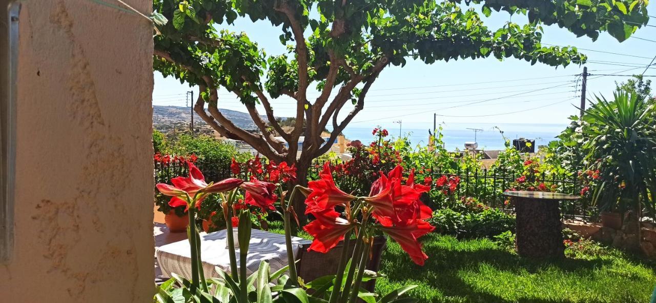 Despoina Apartments Κερατόκαμπος Εξωτερικό φωτογραφία